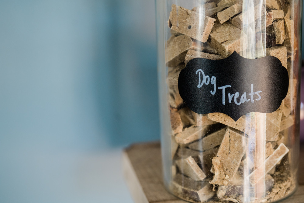 Ein Glas mit Hundekeksen: Die richtige Ernährung ist wichtig für einen Hund.