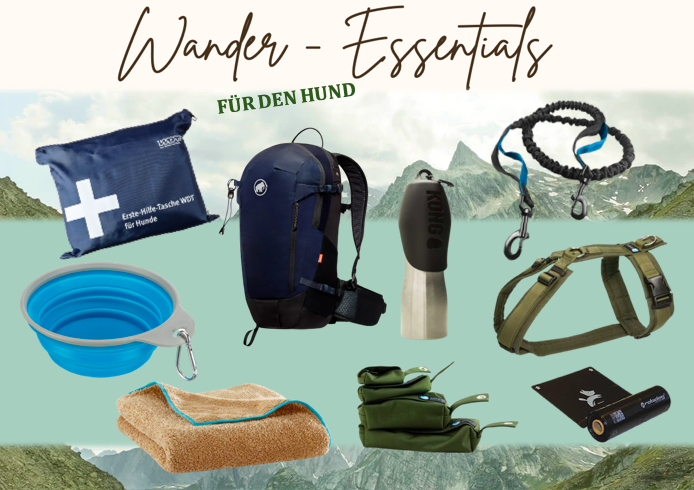 Wander-Essentials: Diese Dinge solltest du auf einer Wanderung mit Hund immer dabei haben.
